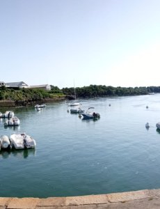 Port Niscop