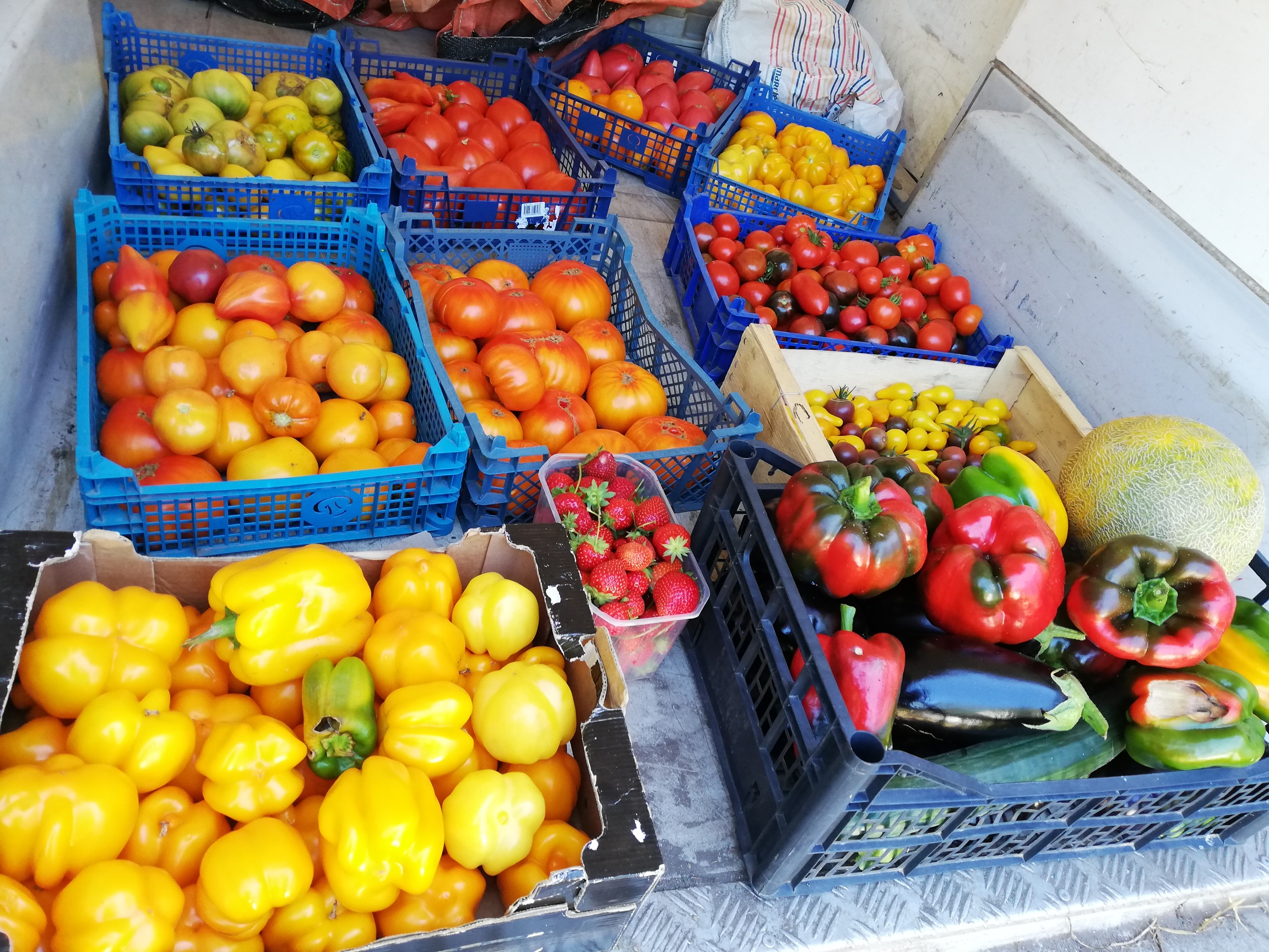 Today's harvest